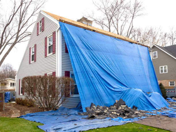 Best Dumpster Rental Services  in Brundidge, AL